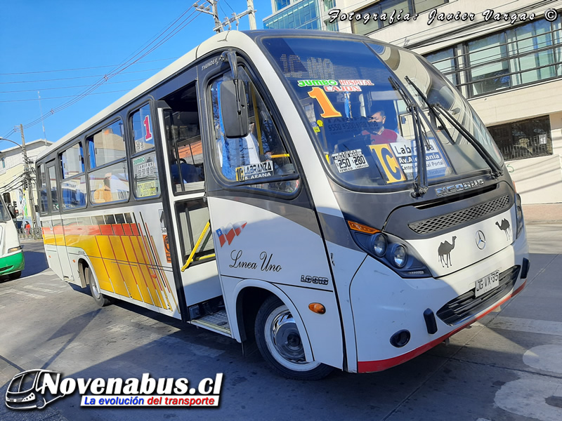 Neobus Thunder + / Mercedes-Benz LO-916 / Línea 1 Temuco