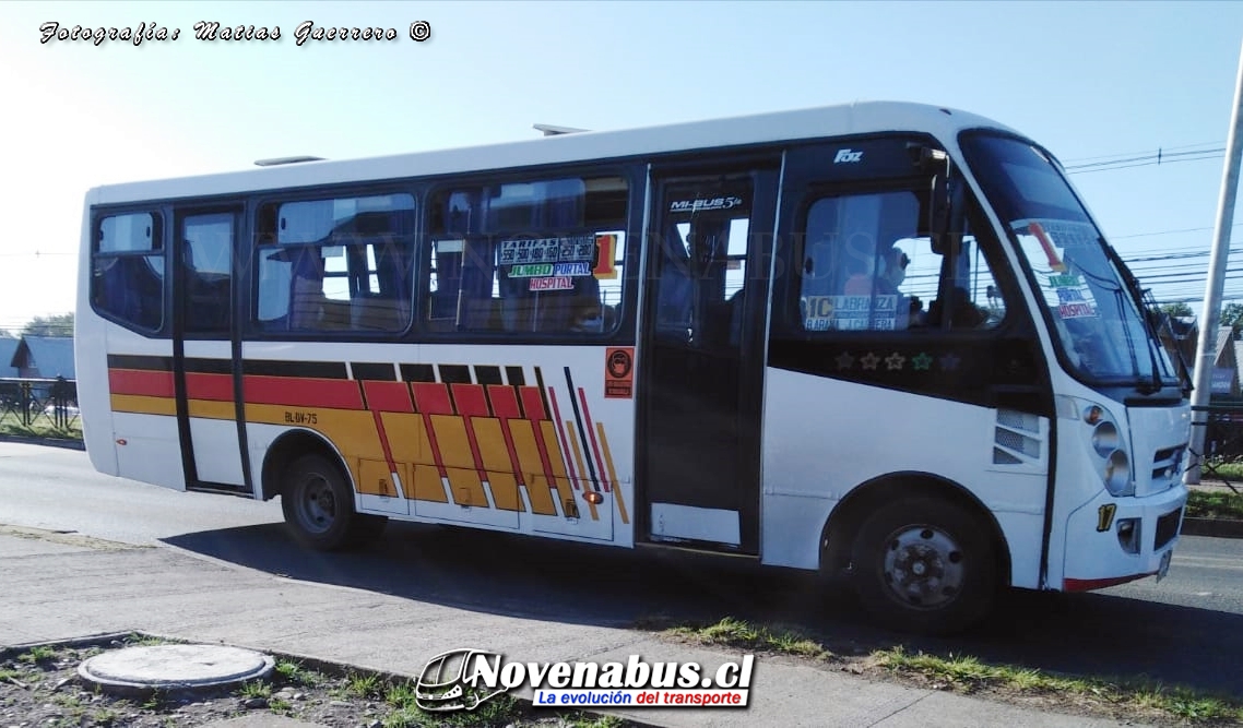 Caio Induscar Foz / Mercedes-Benz LO-915 / Línea 1 Temuco