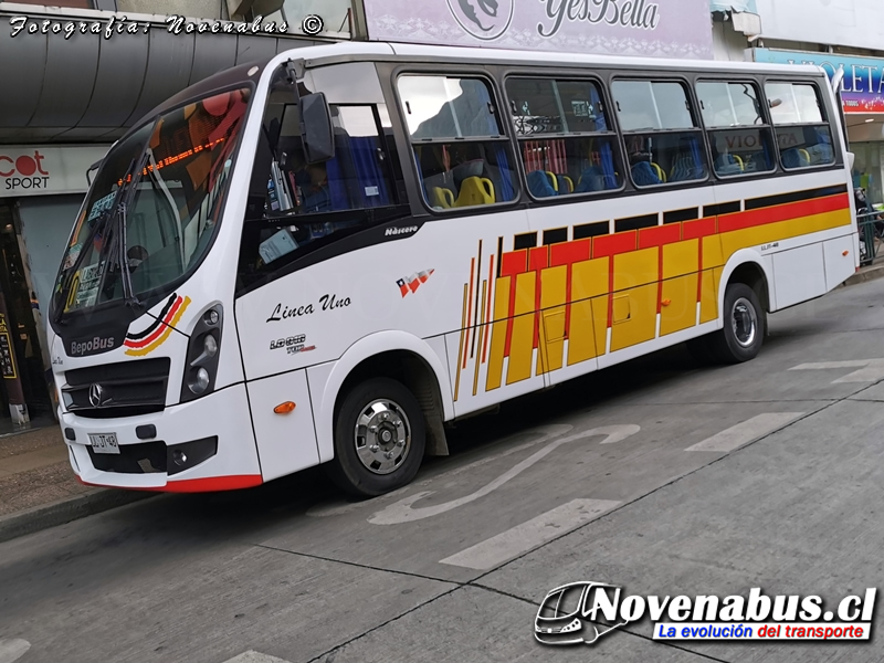 BepoBus Náscare / Mercedes-Benz LO-916 / Línea 1 Temuco