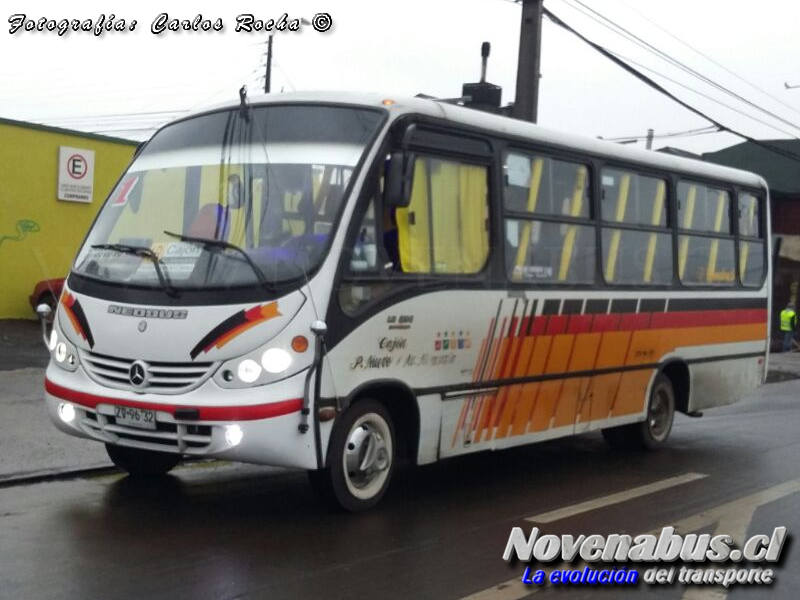 Neobus Thunder+ / Mercedes Benz LO-914 / Línea 1 Temuco