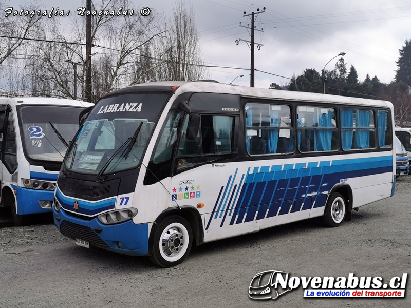 Marcopolo Senior / Mercedes-Benz LO-915 / Línea 2 Temuco