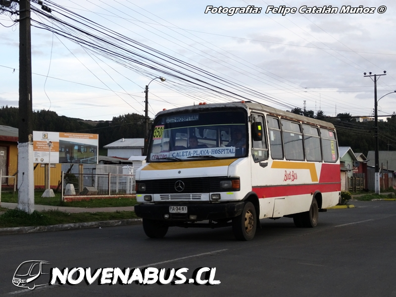 Metalpar Pucará I / Mercedes-Benz LO-812 / Budi Bus (Puerto Saavedra)