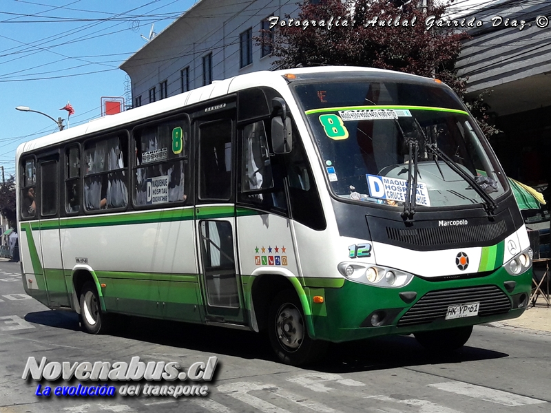 Marcopolo Senior / Mercedes-Benz LO-916 / Línea 8 Temuco