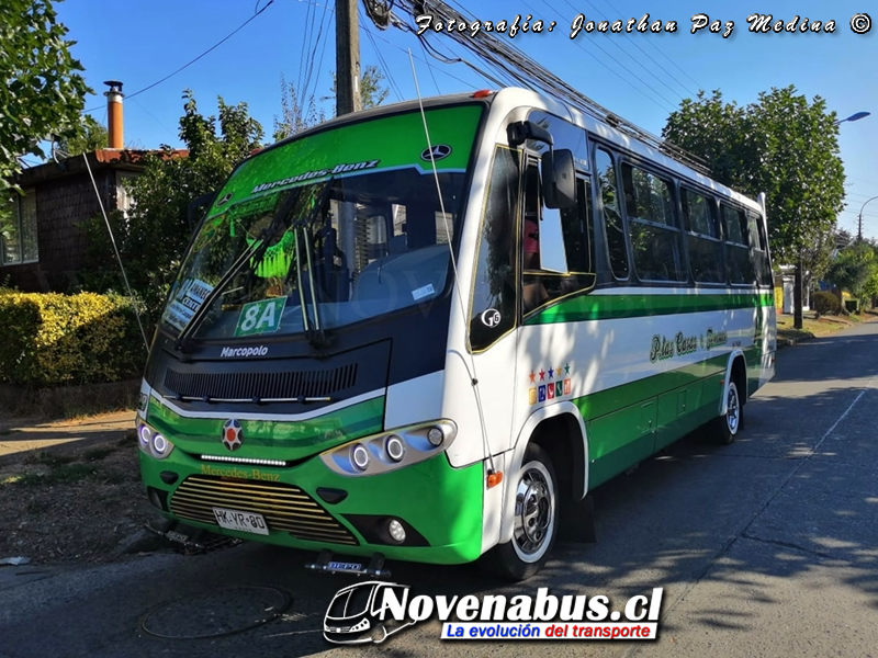 Marcopolo Senior / Mercedes-Benz LO-916 / Línea 8 Temuco