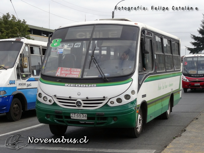 Neobus Thunder + / Mercedes-Benz LO-712 / Línea 8 Temuco