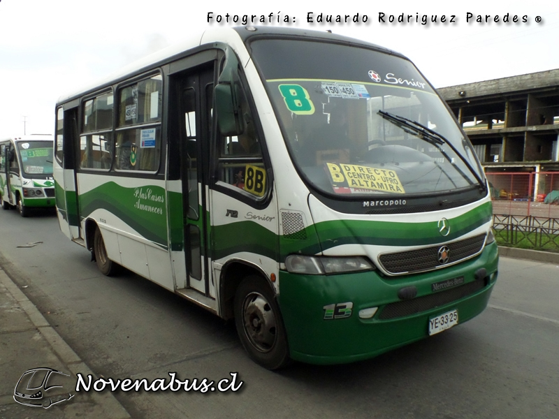 Marcopolo Senior  / Mercedes-Benz LO712 / Línea 8 Temuco