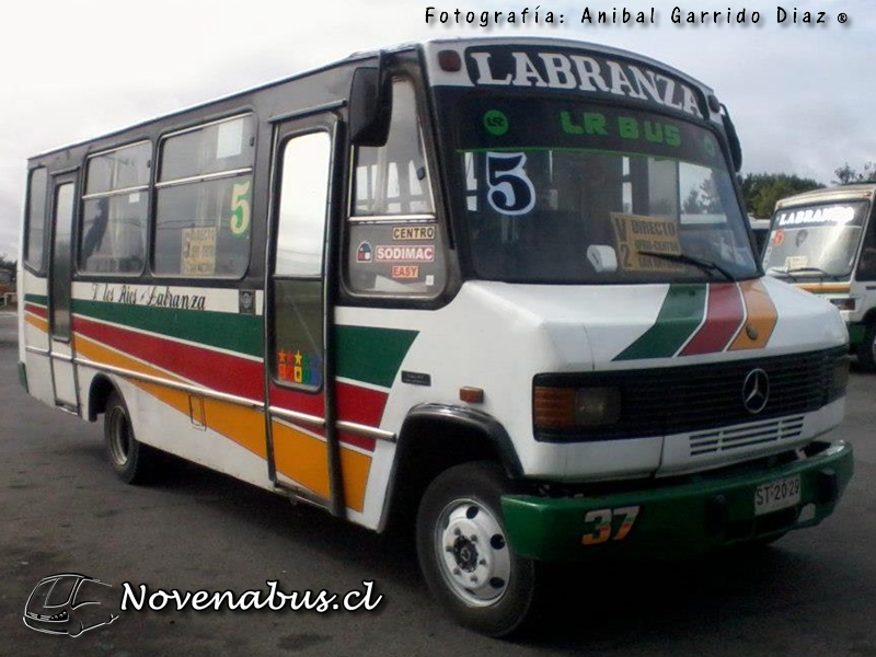 LR Bus / Mercedes-Benz LO814 / Línea 5 Temuco