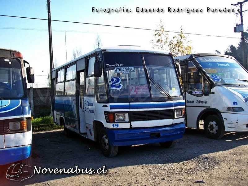 Caio Carolina IV/ Mercedes Benz 708E / Línea 2 Temuco