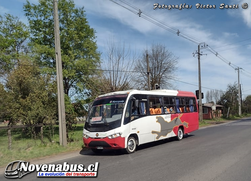 Marcopolo Senior / Mercedes-Benz LO-915 / Araucanía Express