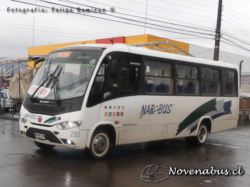 Marcopolo Senior / Mercedes Benz LO-915 / Nar-Bus