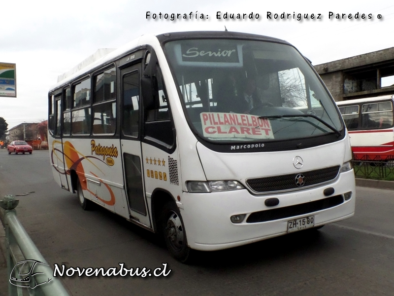 Marcopolo Senior / Mercedes-Benz LO915 / Patagonia Travel Temuco