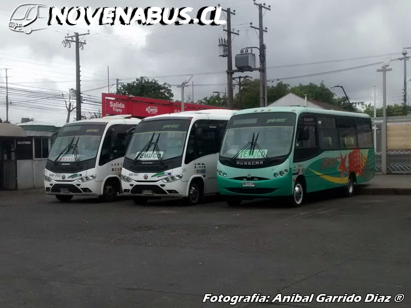 Panoramica de Busscar / Mercedes-Benz LO-914 / Marcopolo senior / Mercedes-Bnez LO-915 /  NAR Bus