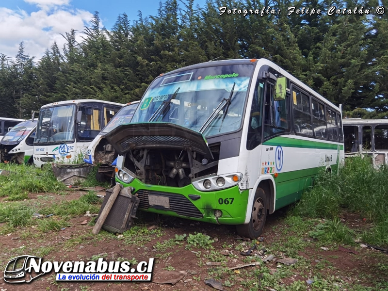 Marcopolo Senior / Mercedes-Benz LO-812 / Línea 8 Temuco