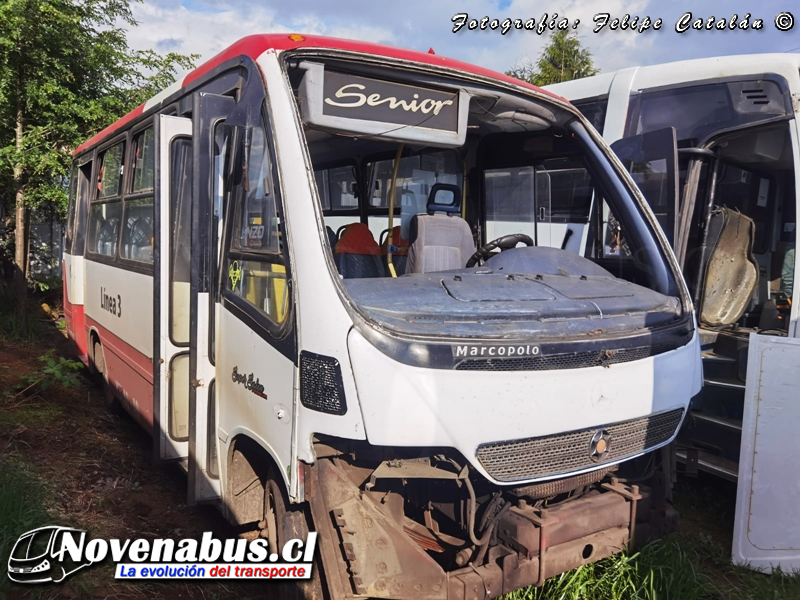 Marcopolo Senior / Mercedes-Benz LO-712 / Línea 3 Temuco