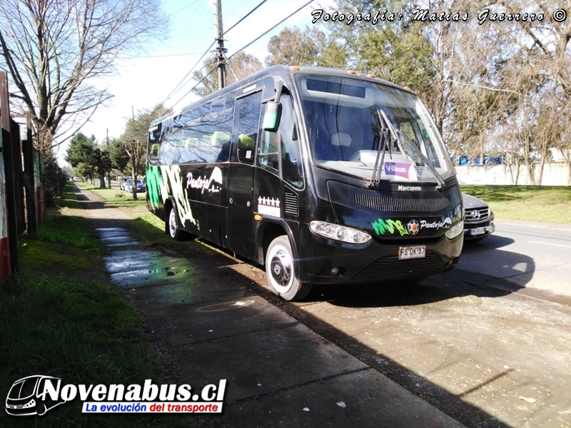 Marcopolo Senior / Mercedes Benz LO-915 / Buses Pantoja