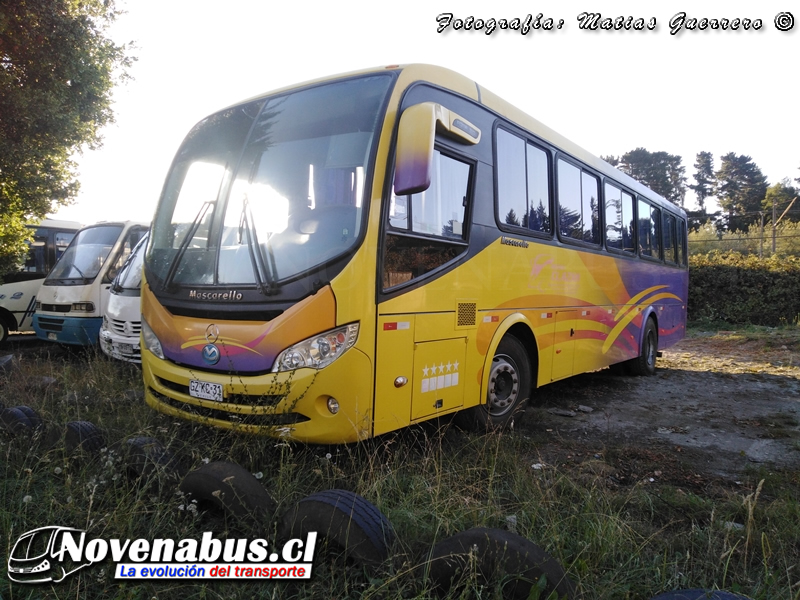 Mascarello Roma / Mercedes-Benz OF-1721 / Buses Clazar