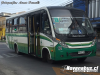 Neobus Thunder + / Mercedes-Benz LO-916 / Línea 8 Temuco