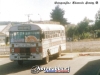 Blue Bird / Mercedes-Benz LPO-1113 / NAR-Bus