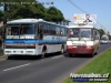 Marcopolo Viaggio GIV & Dimex Casabus / Nar-Bus - Línea 6 Temuco