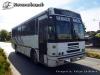 Oshmex Masa C11 Ford / Buses Oliva