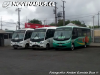 Panoramica de Busscar / Mercedes-Benz LO-914 / Marcopolo senior / Mercedes-Bnez LO-915 /  NAR Bus